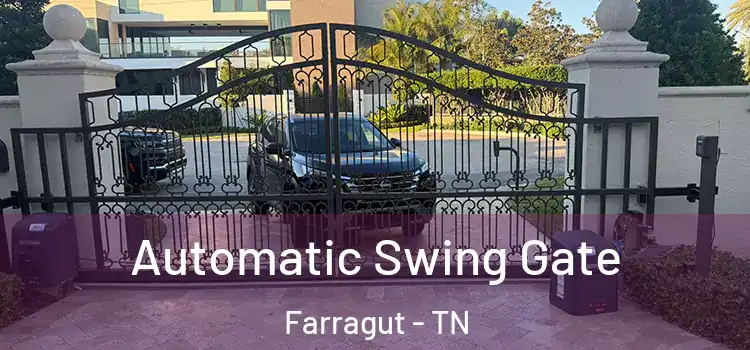  Automatic Swing Gate Farragut - TN