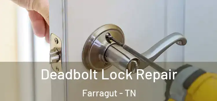 Deadbolt Lock Repair Farragut - TN