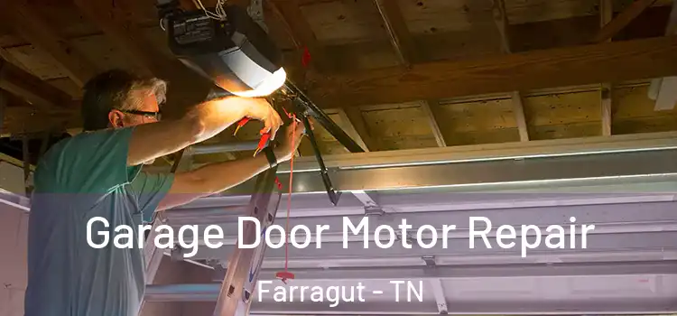  Garage Door Motor Repair Farragut - TN