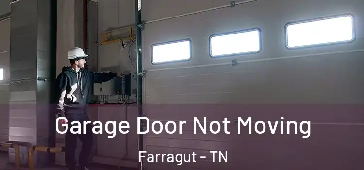  Garage Door Not Moving Farragut - TN