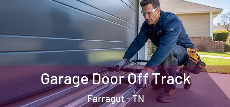  Garage Door Off Track Farragut - TN