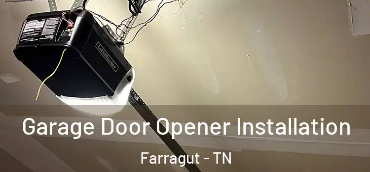  Garage Door Opener Installation Farragut - TN