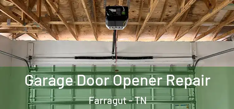  Garage Door Opener Repair Farragut - TN