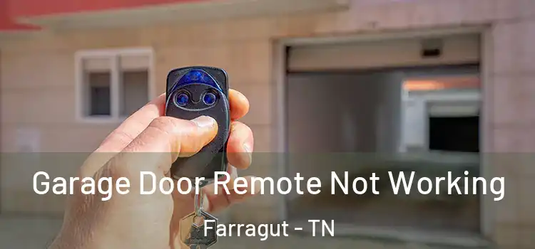  Garage Door Remote Not Working Farragut - TN