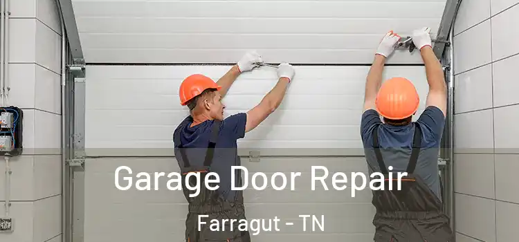  Garage Door Repair Farragut - TN
