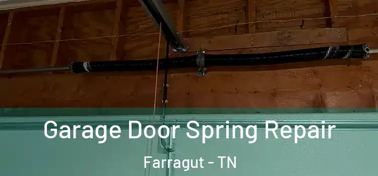  Garage Door Spring Repair Farragut - TN