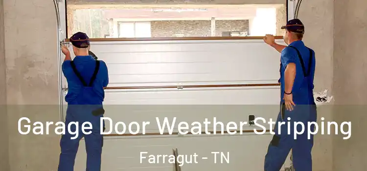  Garage Door Weather Stripping Farragut - TN