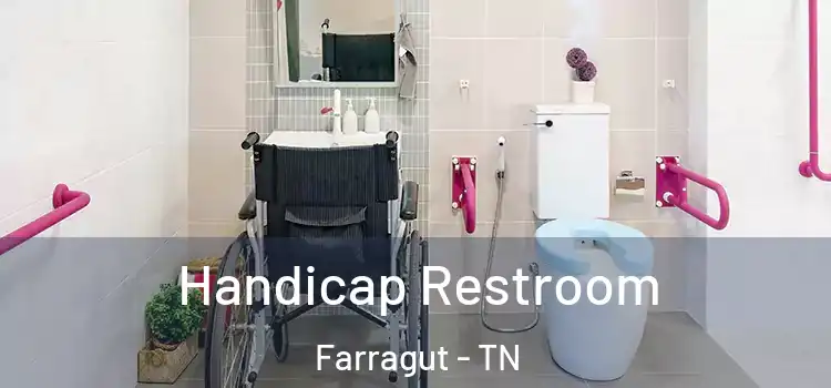 Handicap Restroom Farragut - TN