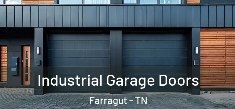  Industrial Garage Doors Farragut - TN