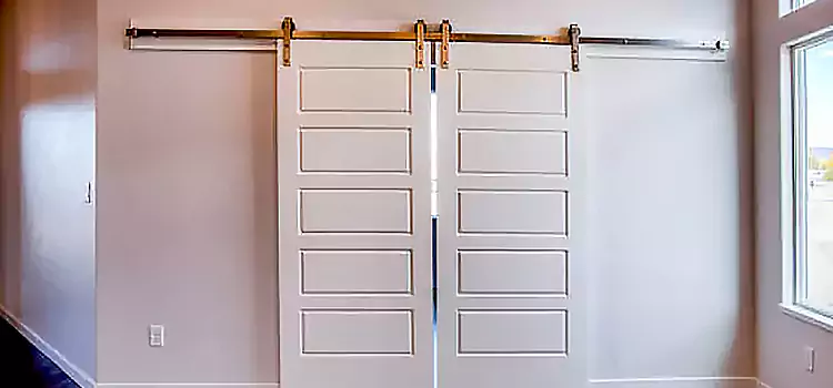 Glass Barn Door with Installation Hardware Kit Farragut