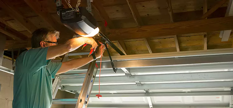 Garage Door Opener Sales and Installation Farragut