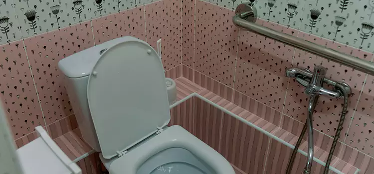 Meeting Diverse Needs With Accessible Restroom Solutions in Farragut, TN