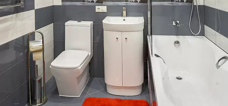 Hansgrohe Shaving Mirror Farragut