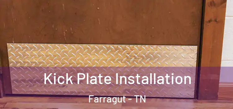 Kick Plate Installation Farragut - TN