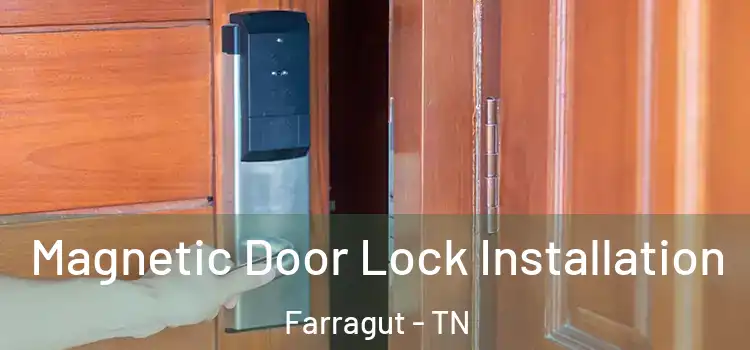  Magnetic Door Lock Installation Farragut - TN