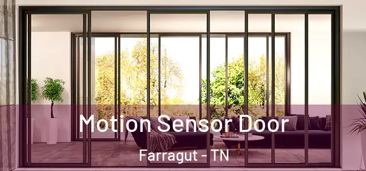  Motion Sensor Door Farragut - TN