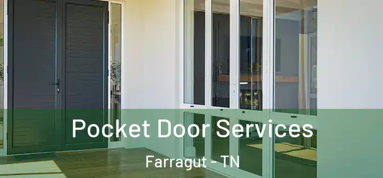 Pocket Door Services Farragut - TN