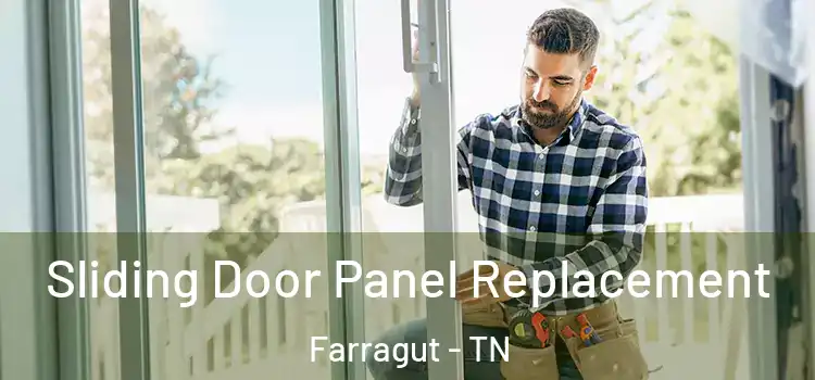  Sliding Door Panel Replacement Farragut - TN
