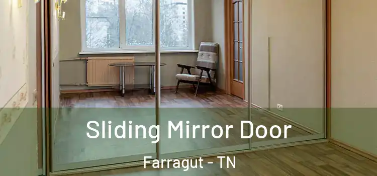  Sliding Mirror Door Farragut - TN